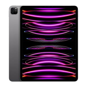 iPad pro m2 12.9inch 256 Cell+Wifi