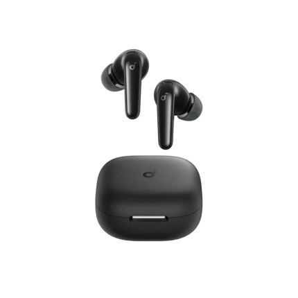 True wireless earbuds in black with a matching compact charging case shown separately.